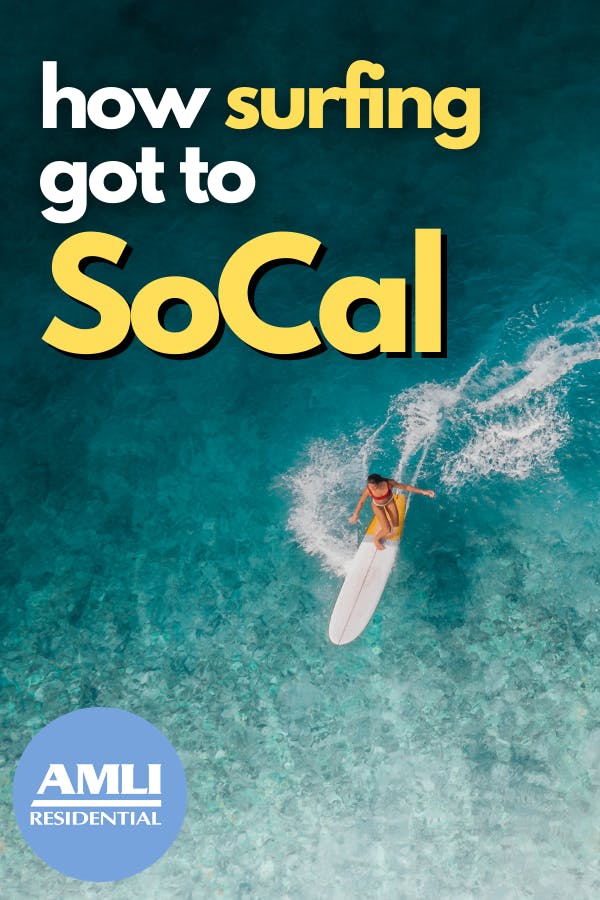 アート・デザイン・音楽 californiasurfingandclimbinginthefifties California Beach Culture Surfing Art Stock Vector - Illustration